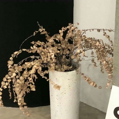 Furry绘画动态表现FurryQQ群